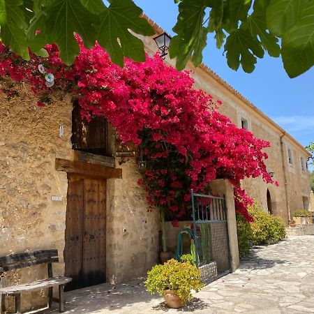 Agroturismo Can Guillo Pollença Dış mekan fotoğraf