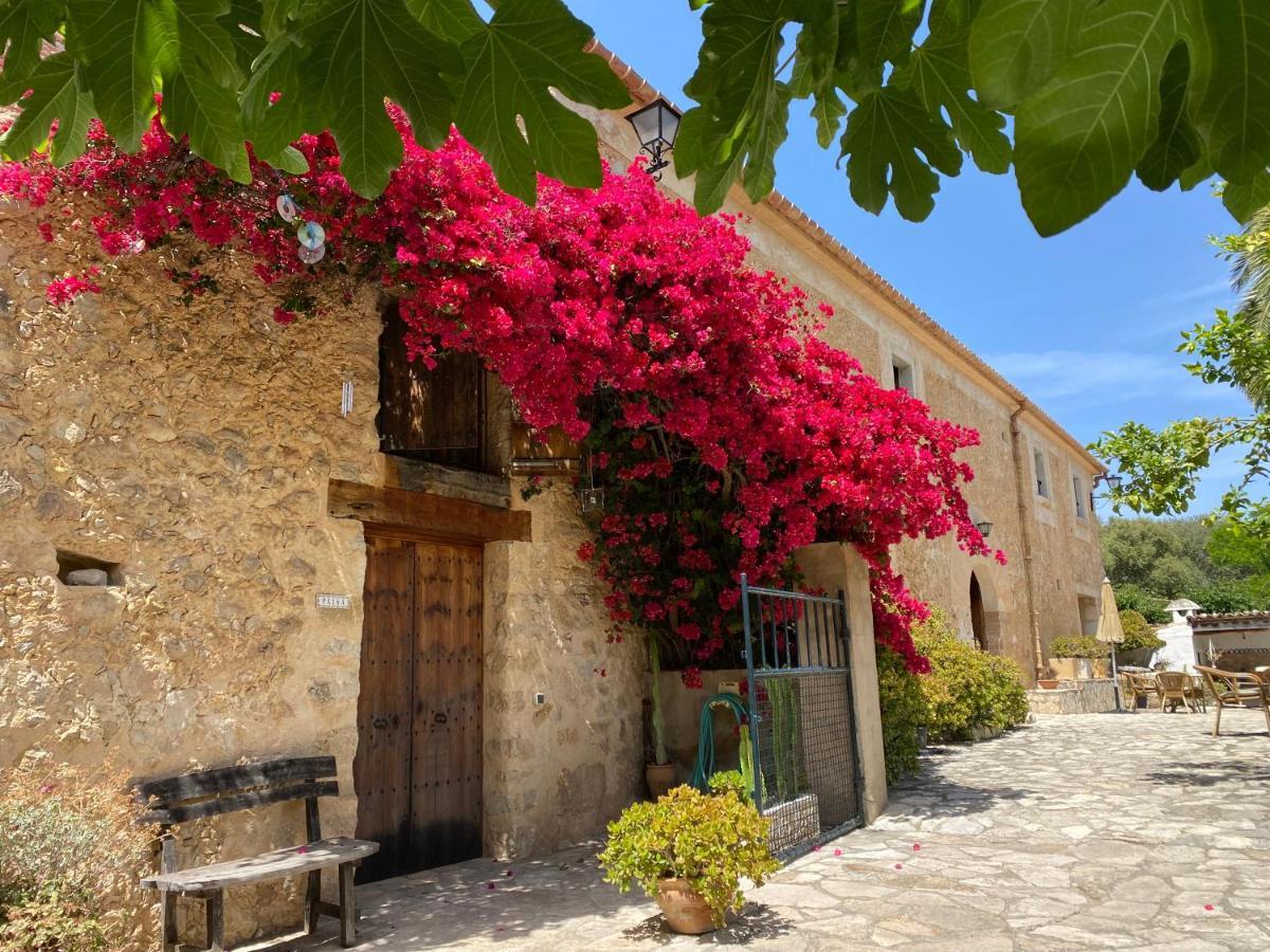 Agroturismo Can Guillo Villa Pollença Dış mekan fotoğraf