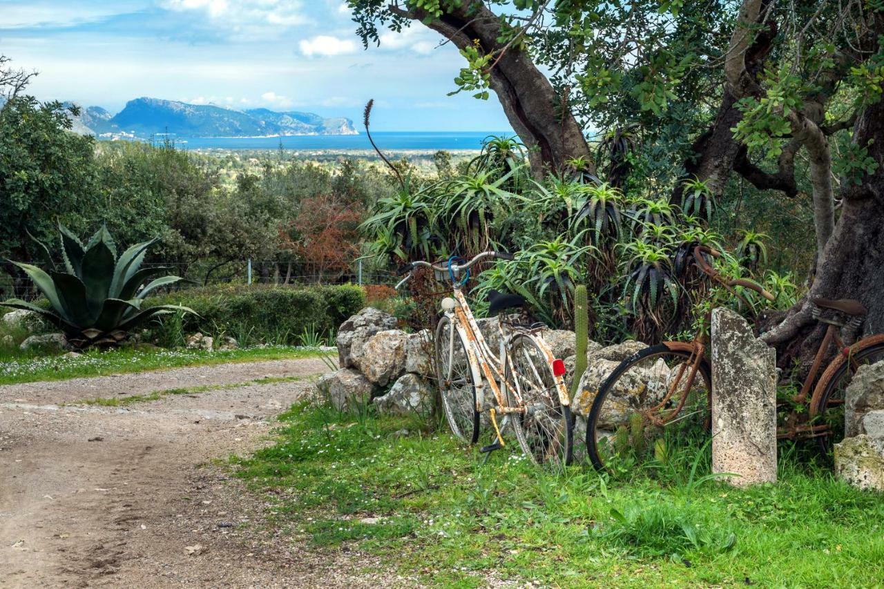 Agroturismo Can Guillo Villa Pollença Dış mekan fotoğraf