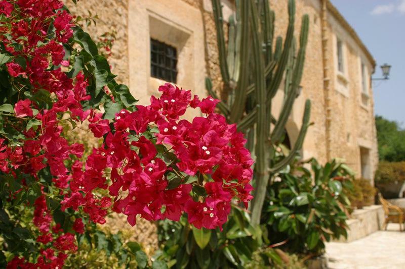 Agroturismo Can Guillo Villa Pollença Dış mekan fotoğraf