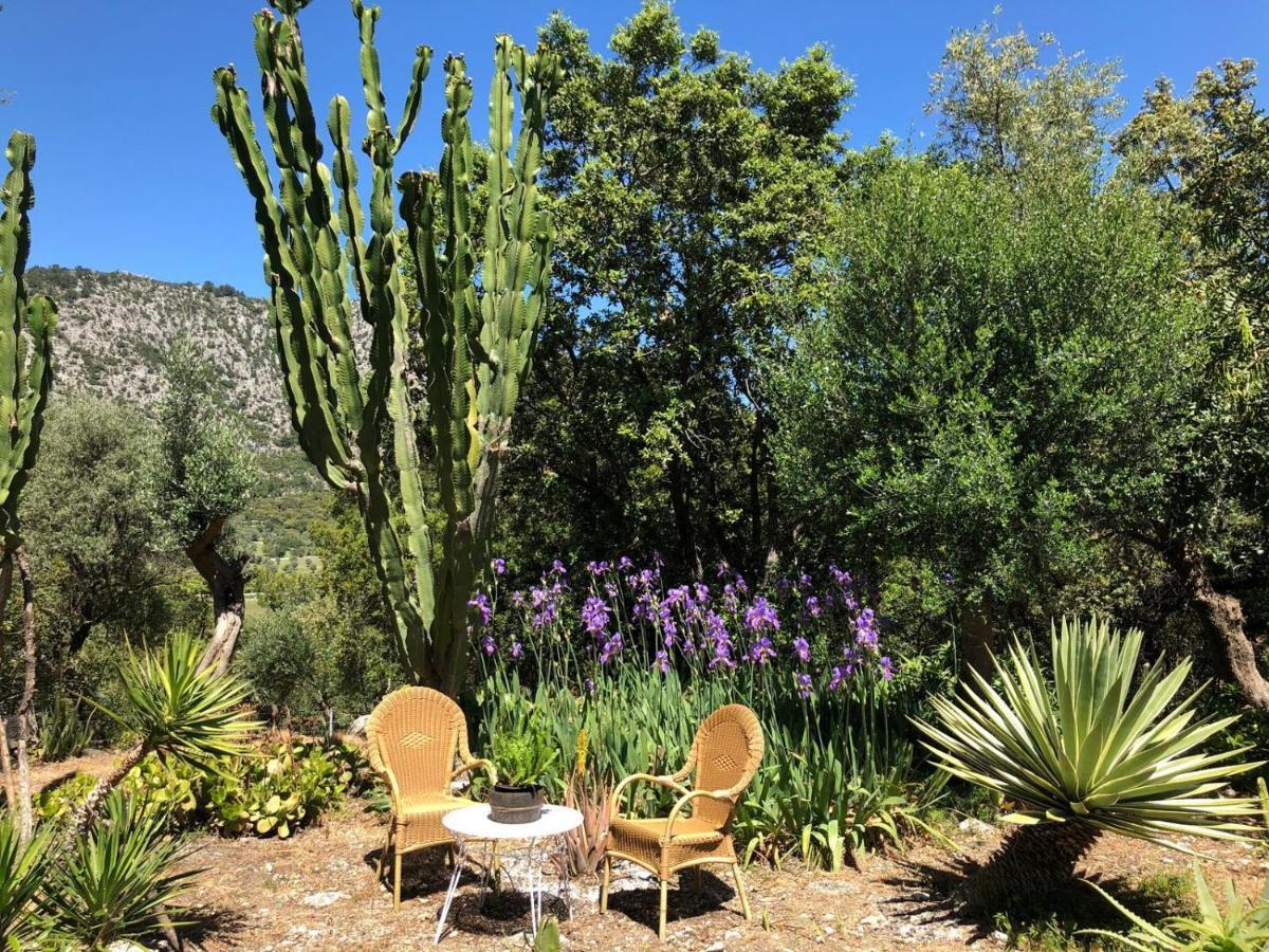 Agroturismo Can Guillo Pollença Dış mekan fotoğraf