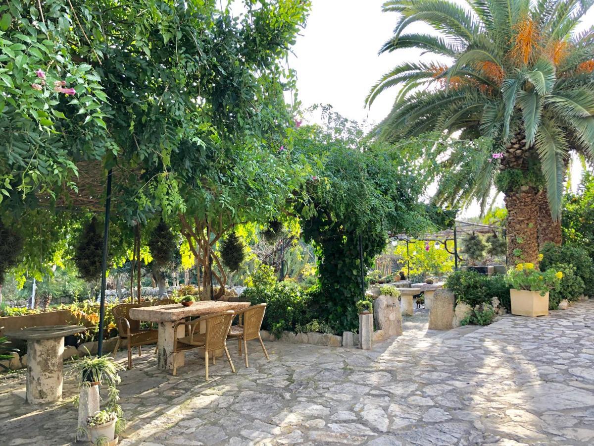 Agroturismo Can Guillo Villa Pollença Dış mekan fotoğraf